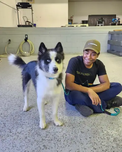 The owner of Midlands Canine Training sitting on the floor with a young husky